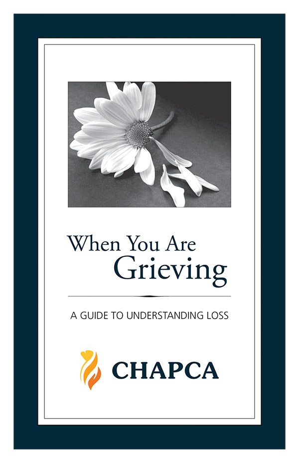 when you are grieving cover